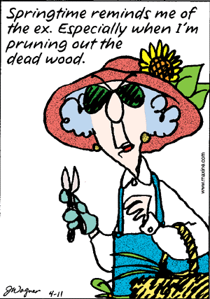 Maxine ex